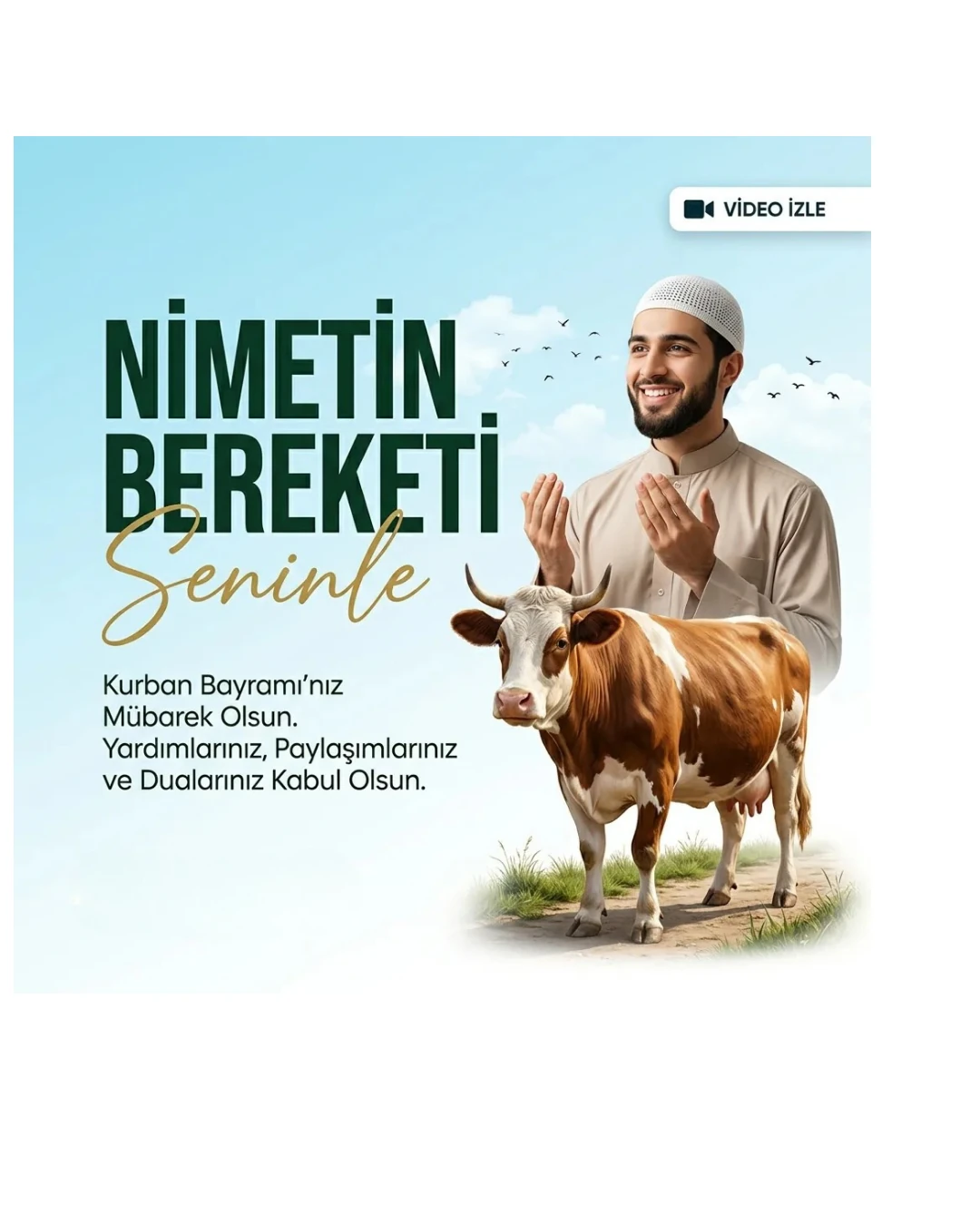 Büyükbaş Hisse